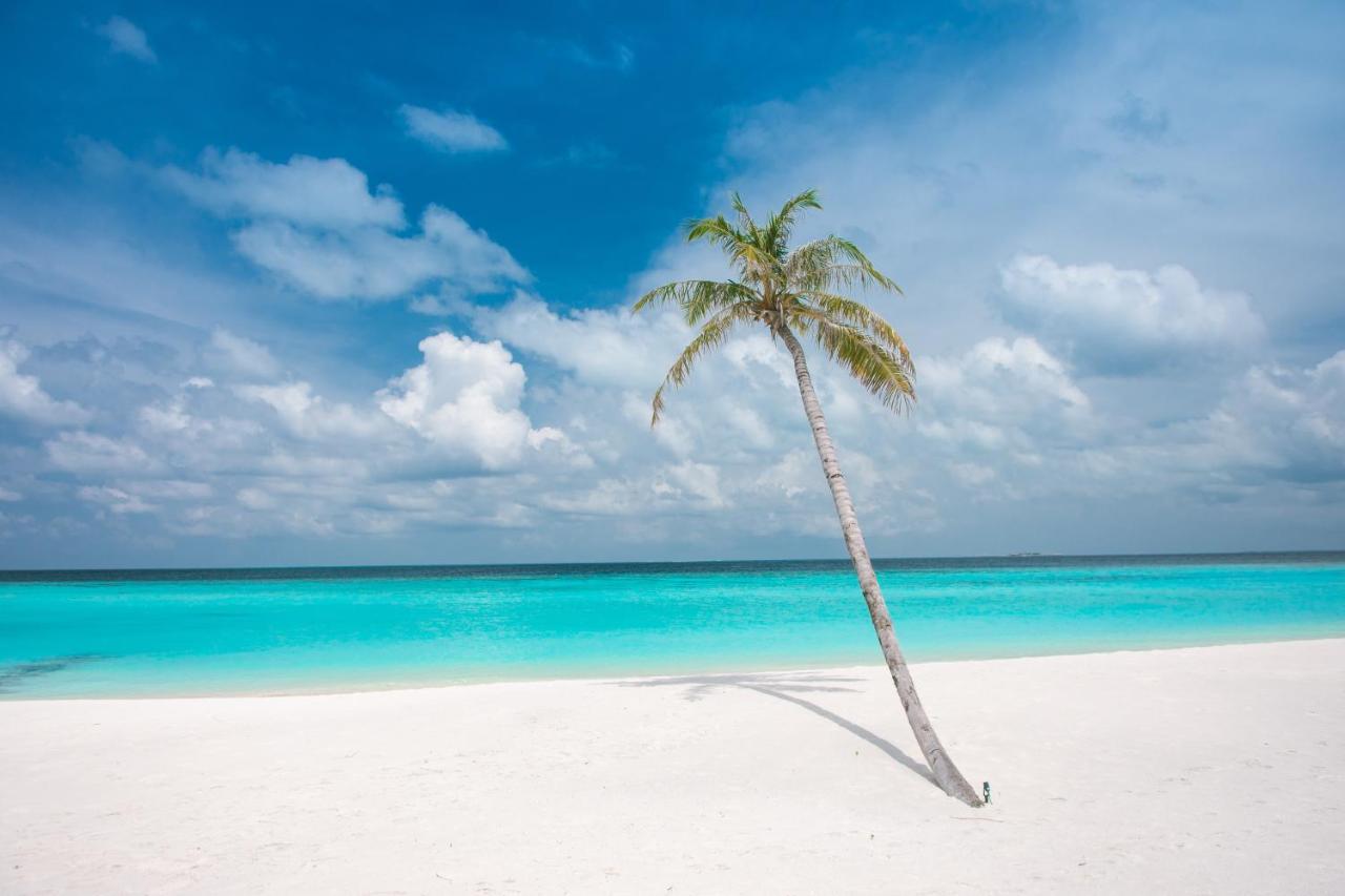 Brickwood Rasdhoo- Beach Front Eksteriør billede