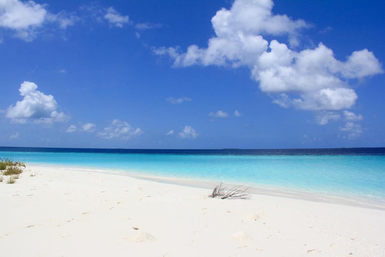 Brickwood Rasdhoo- Beach Front Eksteriør billede