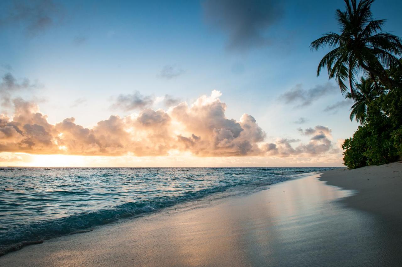 Brickwood Rasdhoo- Beach Front Eksteriør billede